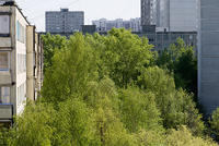 Cityscape at daylight