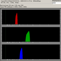 Raw histogram for 5200K (daylight) image