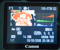 Camera histogram (2800K light)
